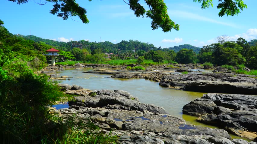 Tropical landscape of the river and trees
