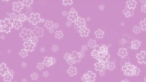 pink cherry blossom loop background