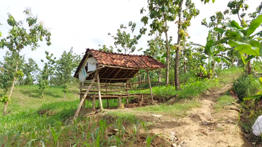 A farmer