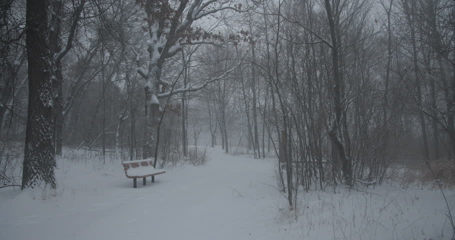 Minnesota Twin Cities Park Bench Trail in Winter Snow Snowstorm Quiet Peaceful