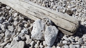 stones on the beach that have holes in them