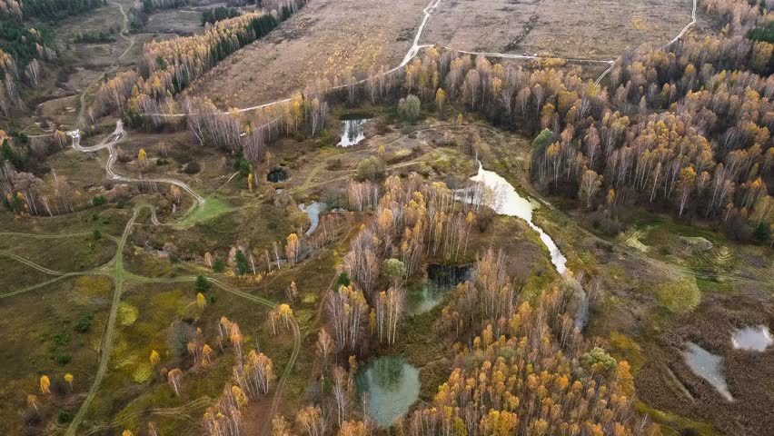 Flight over beautiful autumn forest. Blue lake, river, swamp, grass. Birch forest. Coniferous forest. Spacious landscape, water surface.