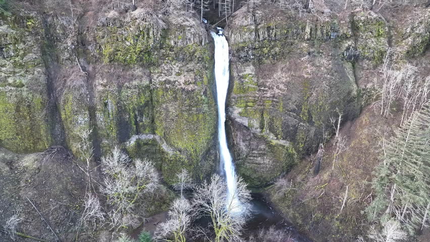 The beautiful Horsetail Falls is located on the Oregon side of the Columbia River Gorge. This magnificent natural wonder, along with many other waterfalls, is just a 30 minute drive east of Portland.