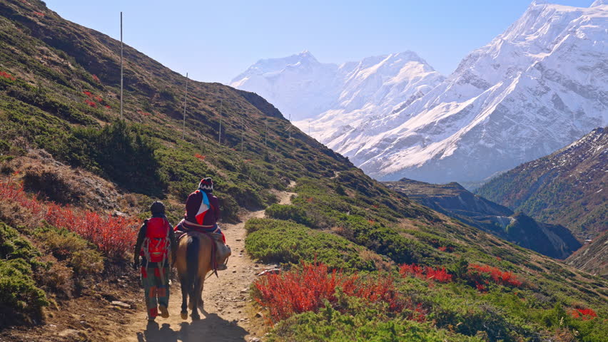 Man and woman ride a horse on a narrow mountain path with picturesque Himalayan views, Annapurna, Nepal