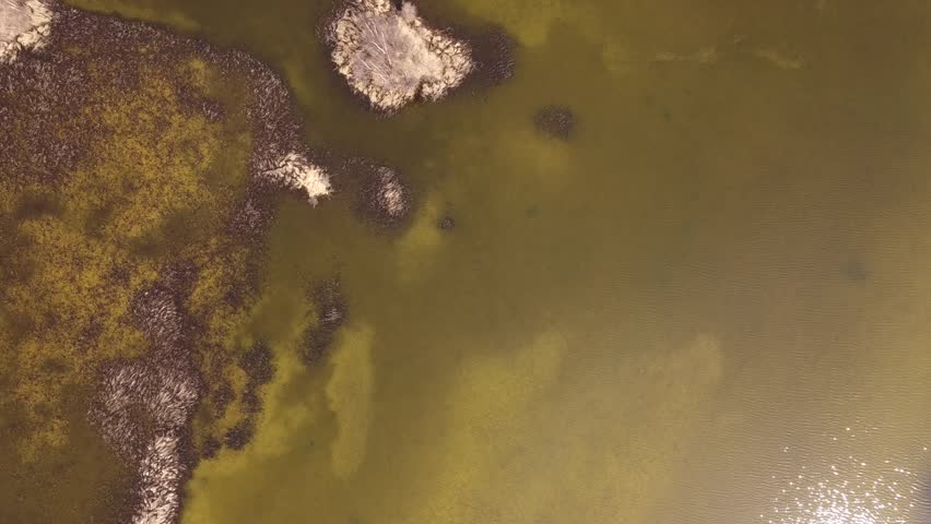 fly over wetland and water ways