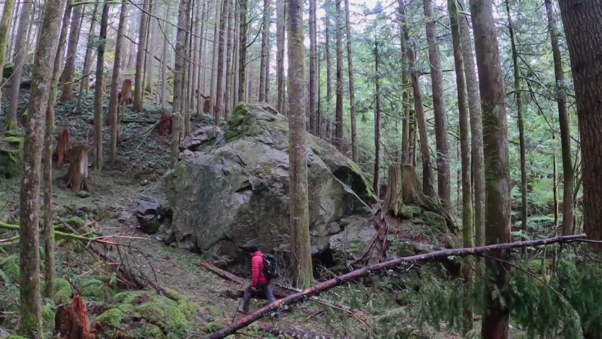 Man hiker walks in the forest along a cliff