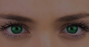 Animation of data processing on screen over woman's green eyes. global communication, digital interface, technology and networking concept digitally generated video.