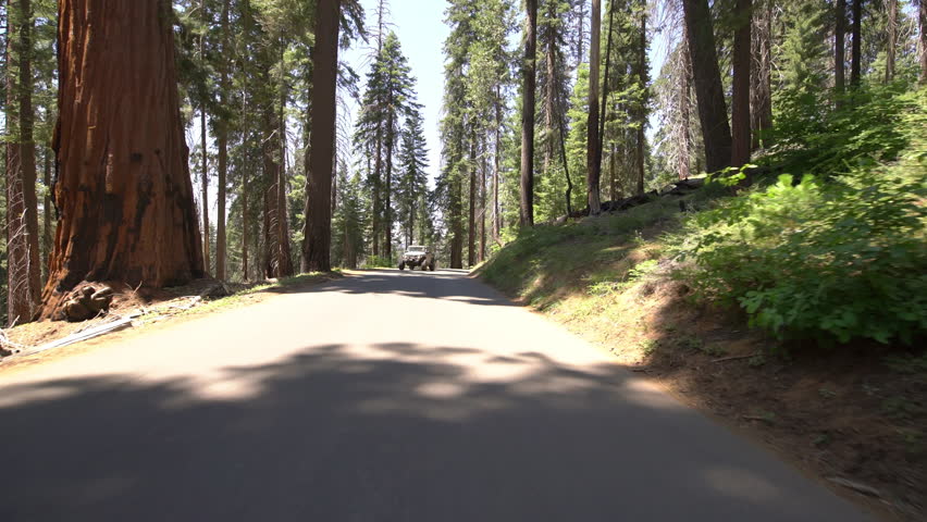 Sequoia National Park Driving Plate Crescent Meadow Rd Westbound 11 Sequoia Forest In Sierra Nevada Mts California