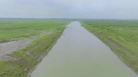 River in the field Aerial Landscape video footage