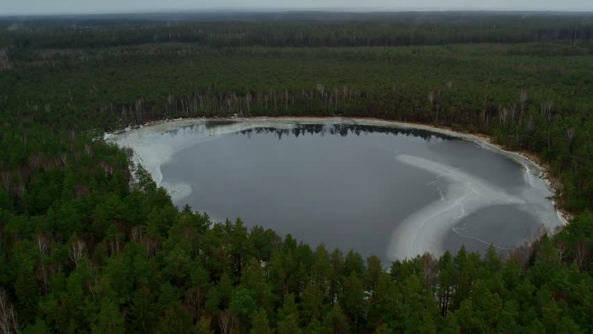 Flying around the forest ice lake at winter around the green spruce top view