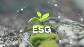 ESG environmental social governance investment business concept. ESG icons. Business investment strategy concept. Digital hologram. 4K video