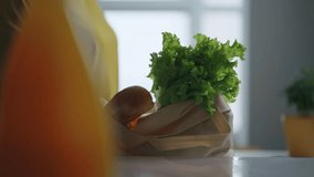 Housekeeper Unpacking Purchases After Visit Supermarket Or Food Market, Details View - Powered by Shutterstock - Get 15% off with code: PIKWIZARD15