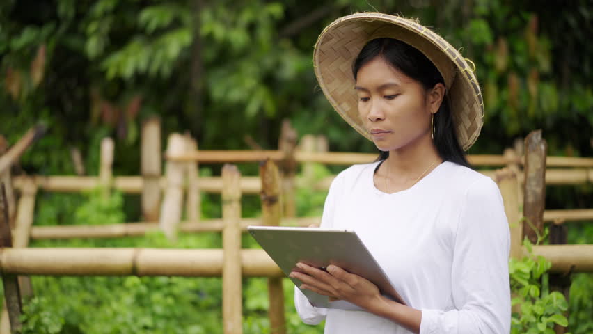Smallholder farmer in asia on vegetable farm with tablet, innovation asia