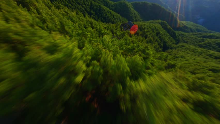 Flying over the mountains covered with beautiful green pine forests.
FPV drone shot. 4K Royalty-Free Stock Footage #1102293933
