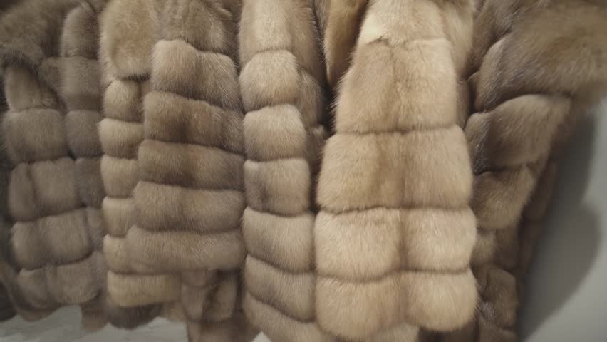 Showcase with fake fur coats Royalty-Free Stock Footage #1102297713