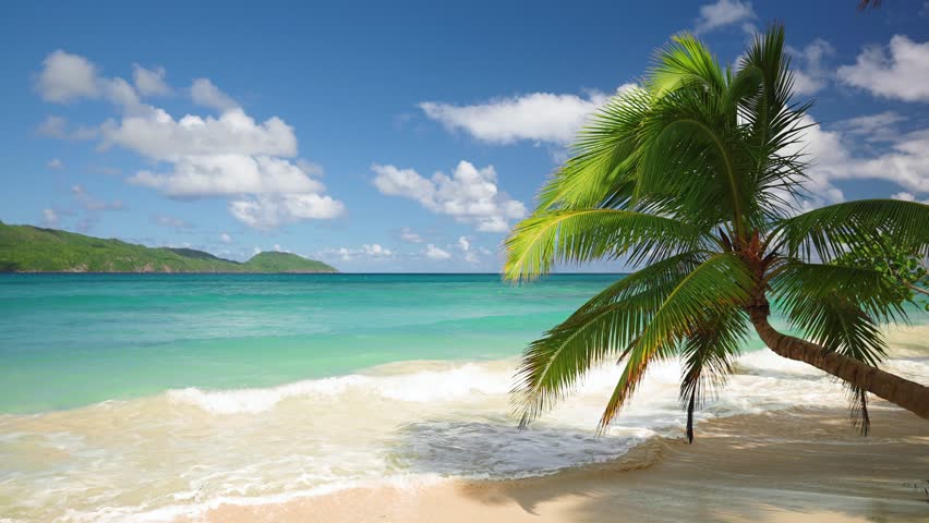 Tropical island with a paradise beach with yellow sand and coconut trees. Turquoise ocean near the sandy coast on a sunny summer day. Summer holidays and tropical beach concept. | Shutterstock HD Video #1102304499