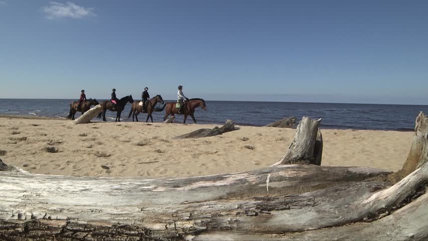 steadicam shot of four horsemen riding along the beach
