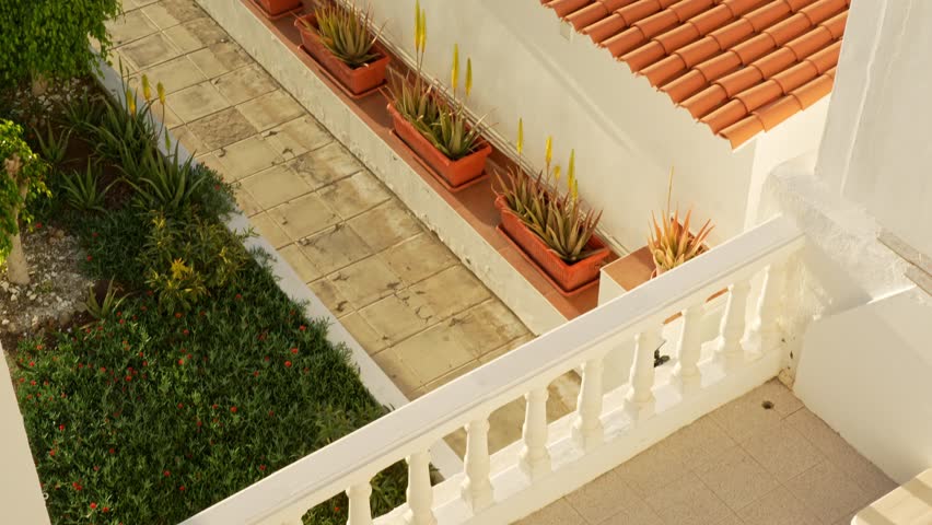 Tilt up, view at green graden and orange clay tiles covering rooftop.