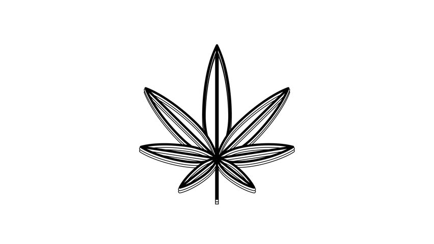 Black Medical marijuana or cannabis leaf icon isolated on white background. Hemp symbol. 4K Video motion graphic animation.
