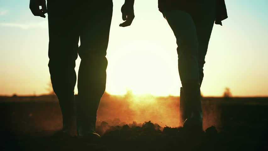 Close up people feet are walking on black earth soil on agricultural land in rubber boots in nature on field in summer at sunset and dust rises in sun. Couple of rural farmers in family business.