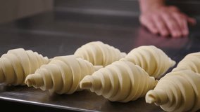 Modern bakery. Baker making croissants. Making french croissants. Puff pastry, croissants, puffs. Food industry, confectionery, bakery. Croissant forms ready to be put in oven for baking. 4 k video