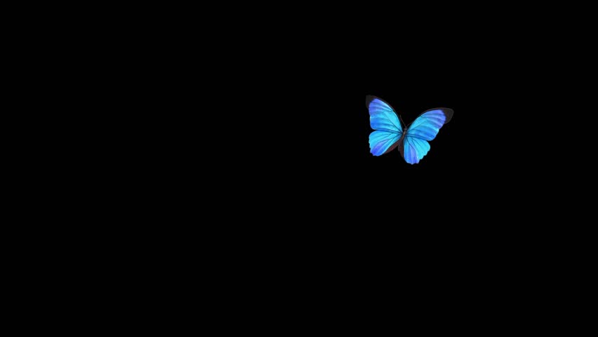 Illustration of a blue butterfly flying | Shutterstock HD Video #1102351929
