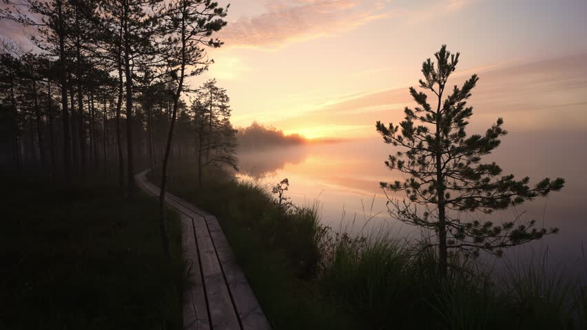 Beautiful Sunrise In The Foggy Bog In Summer