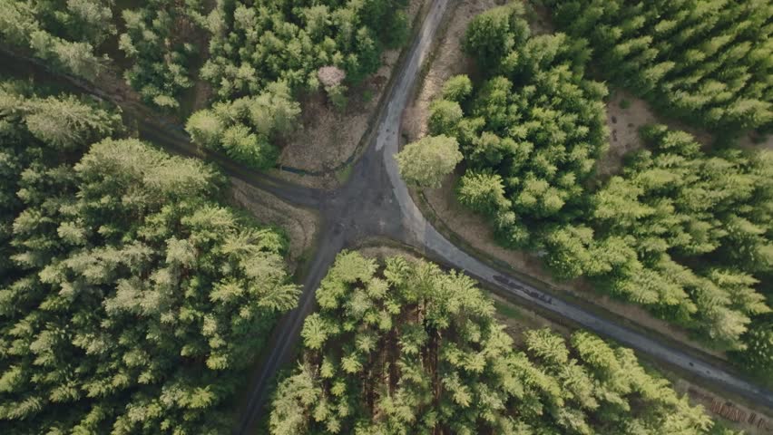 Aerial bird's eye view of a crossroads in the forest. Coniferous trees in summer. Deciding where to go next and questioning where I am Royalty-Free Stock Footage #1102357661