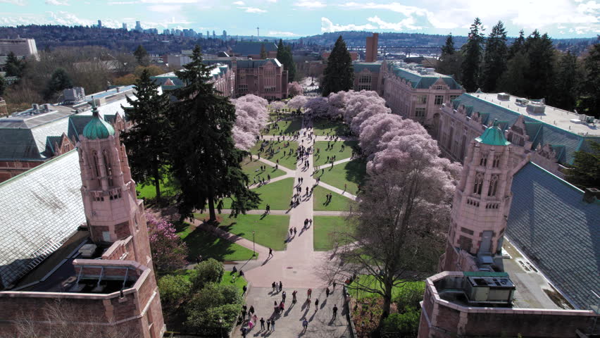 College Campus Quad Cherry Blossoms Aerial with City Background