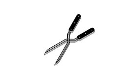 Black Gardening handmade scissors for trimming icon isolated on white background. Pruning shears with wooden handles. 4K Video motion graphic animation.
