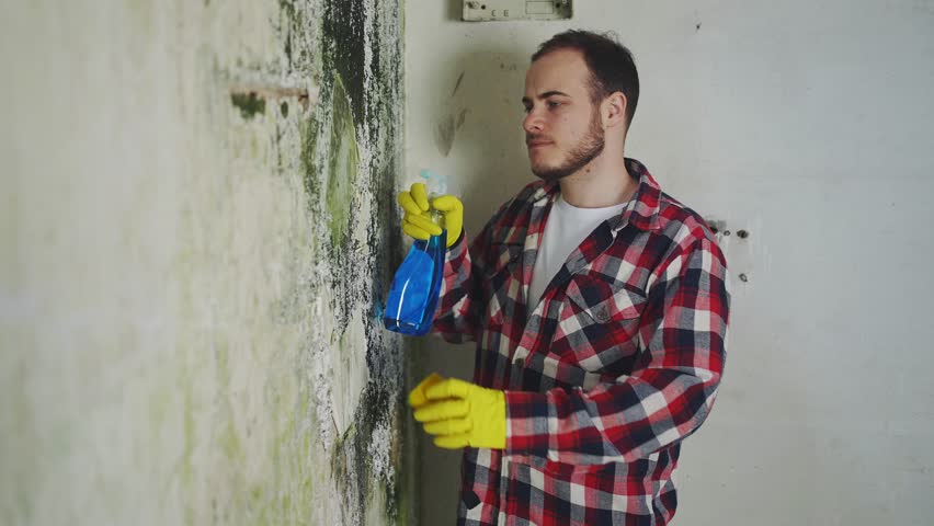 dissatisfied man applying chemical spray means to remove mold killing on the wall of the house Royalty-Free Stock Footage #1102363919