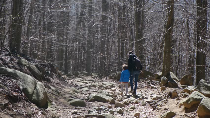 woman travels with a child, A boy and his mother look at the mountains, a family travels, Hiking and adventures with children