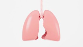 Sick lungs in the white background, Medical concept, 3d rendering.