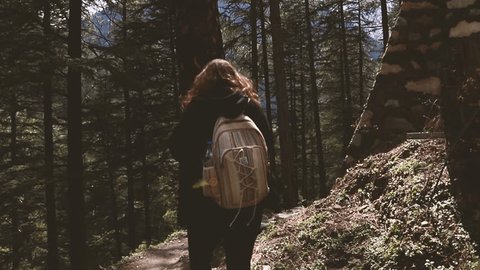 first person view in a walking trail at the forest just behind a woman - Parvati Valley - Himachal Pradesh - Himalayas, India Vídeo Stock