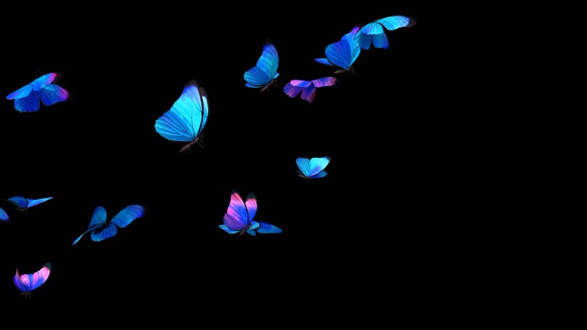 Illustration of a group of blue butterflies flying | Shutterstock HD Video #1102381241