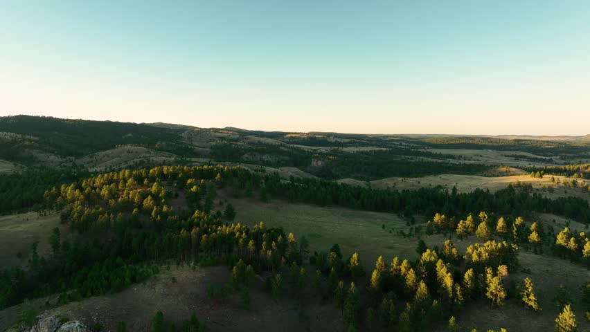Aerial view of sunlight hitting the tops of trees in South Dakota