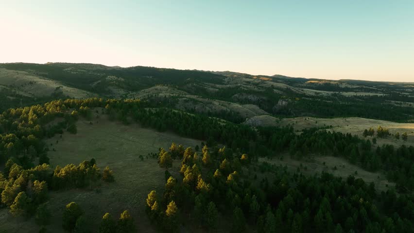 Aerial view of trees in Custer State Park beginning to get hit by light from the rising sun.