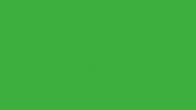 Green screen chroma key animation video real fire element on green screen background