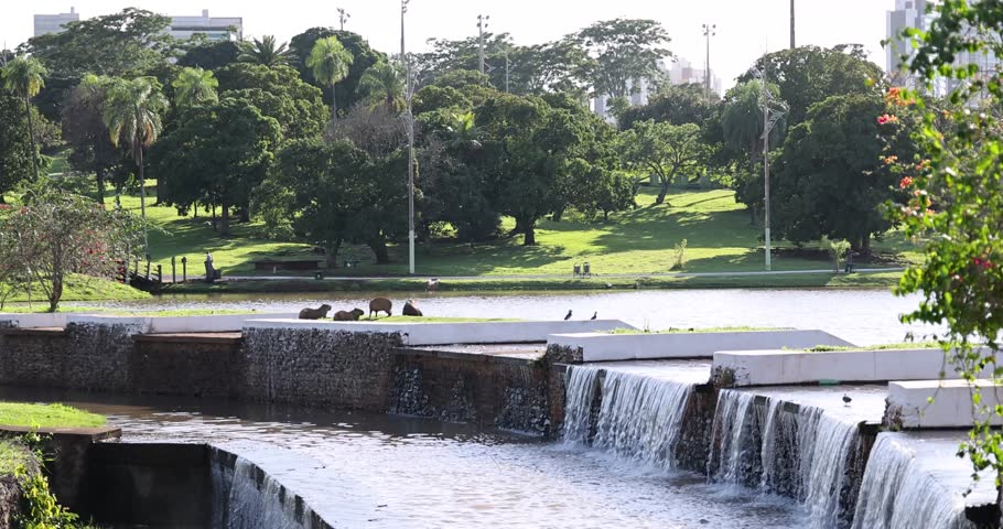 Internal areas of the Parque das Nações Indígenas in Campo Grande, Mato Grosso do Sul, Brazil