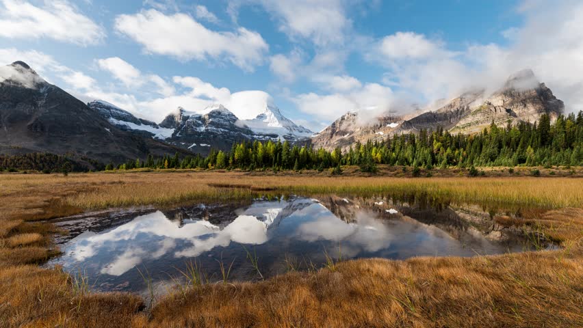 Time lapse scenery of Mount Assiniboine with pond reflection on golden meadow in autumn forest at Assiniboine provincial park, BC, Canada