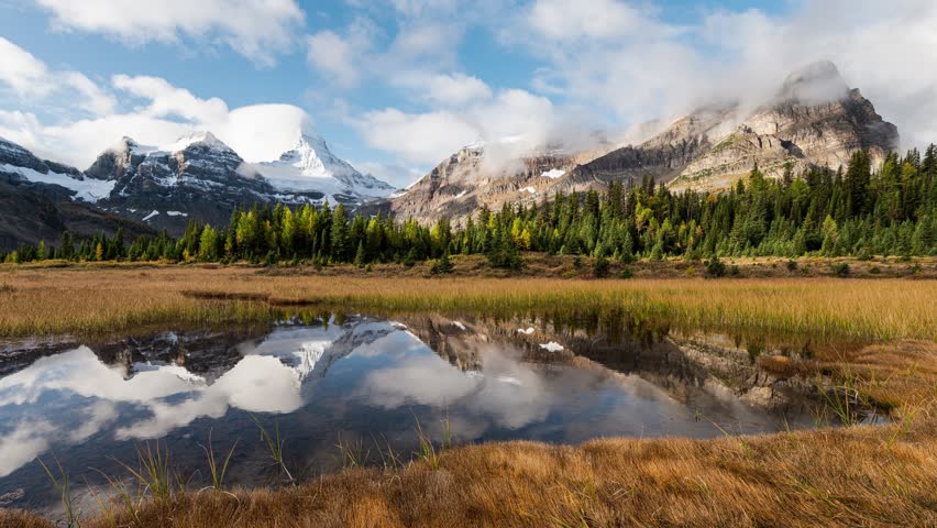 Time lapse scenery of Mount Assiniboine with pond reflection on golden meadow in autumn forest at Assiniboine provincial park, BC, Canada