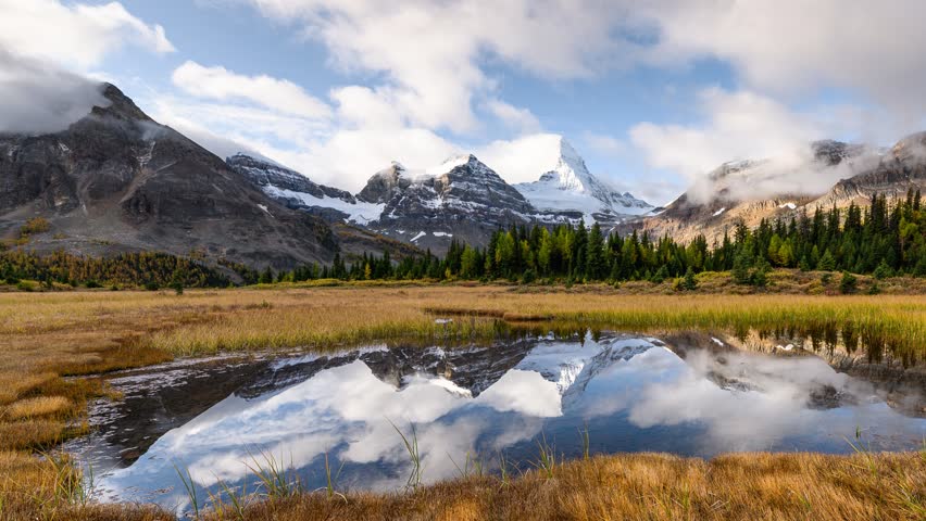 Time lapse scenery of Mount Assiniboine with pond reflection on golden meadow in autumn forest at Assiniboine provincial park, BC, Canada