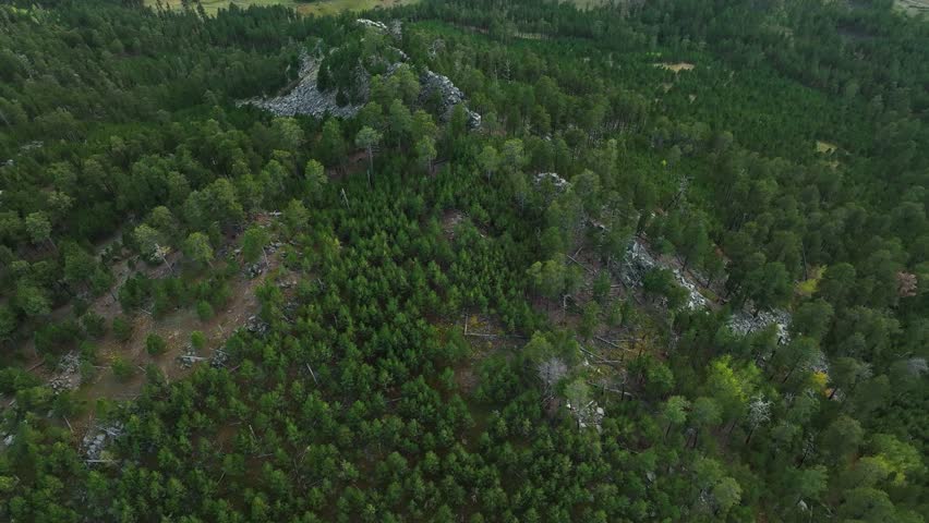 Aerial view of trees covering the rocky Black Hills National Forest in South Dakota.