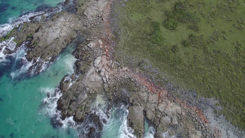 Rocky Coast And Green Hills Of Beaumaris Beach In Summer In Tasmania, Australia. - aerial