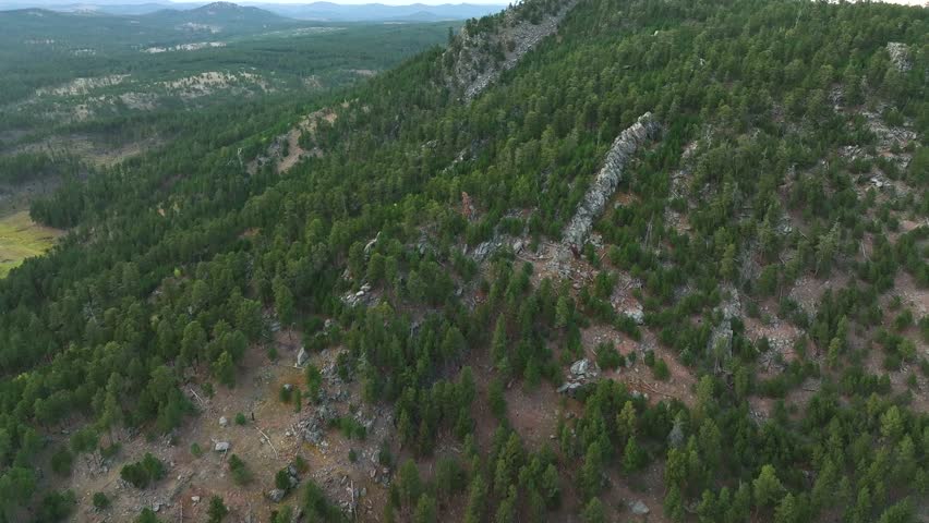 Rising aerial view of a rocky mountainside in Black Hills National Forest.