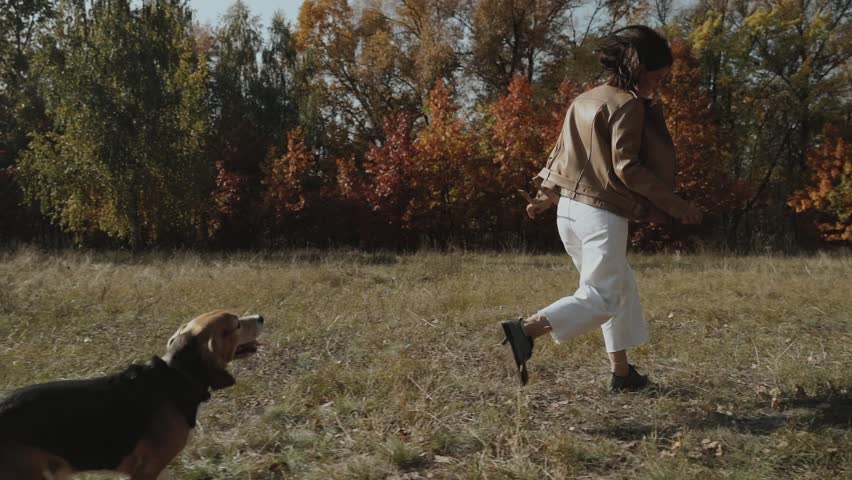 Happy woman playing with her beagle dog. Running in the park.