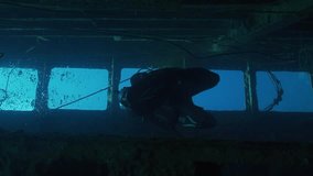 Scuba diver swim inside hold of ferry Salem Express shipwreck, Backlight, Slow motion