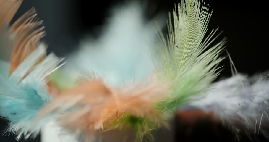 Colorful feathers hand craft abstract composition isolated on black background