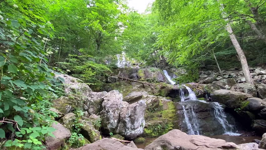 Dark Hallow Falls in Shenandoah National Park. The steep descent following a stream to this beautiful waterfall is one of the Park’s most traveled trails. This trail is short, but very steep and rocky Royalty-Free Stock Footage #1102474045