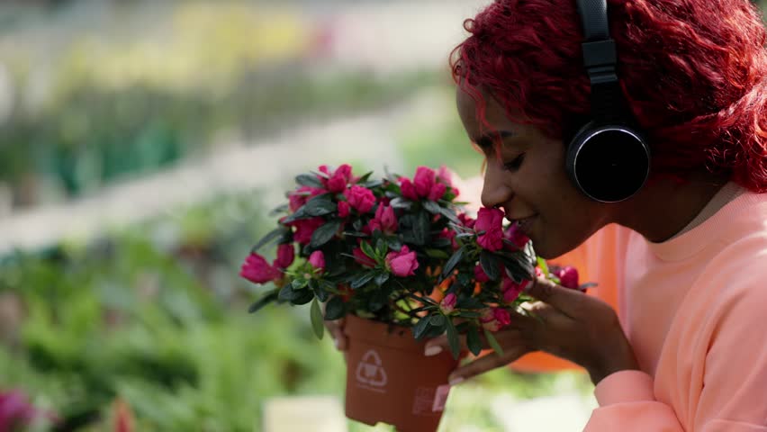 A young woman in headphones thoughtfully inhales the scent of pink plants in the greenhouse